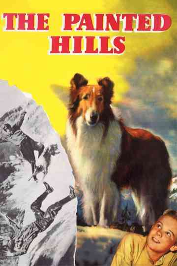 The Painted Hills poster