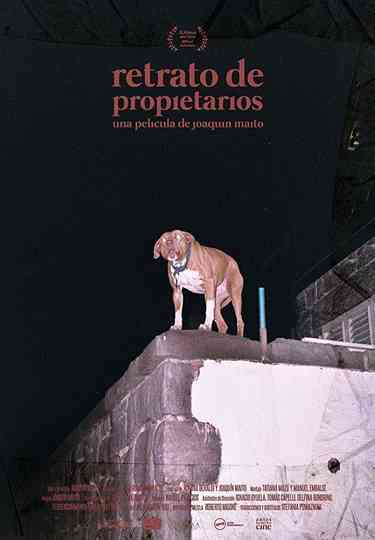 Owners Portrait poster