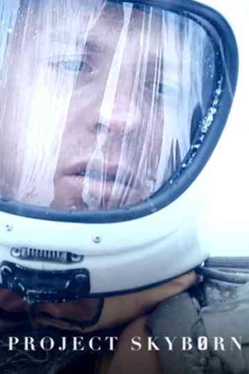 Project Skyborn Poster