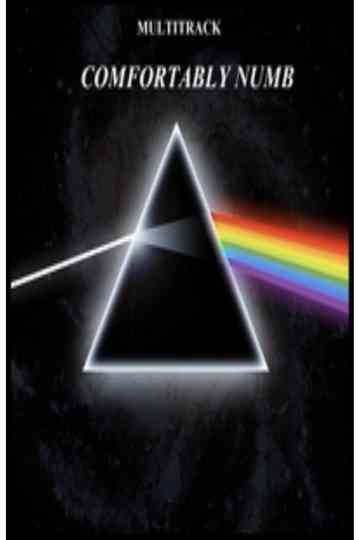 Pink Floyd  Comfortably Numb Poster