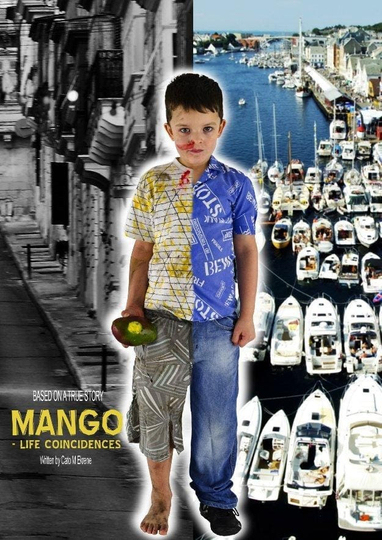 Mango: Lifes Coincidences Poster