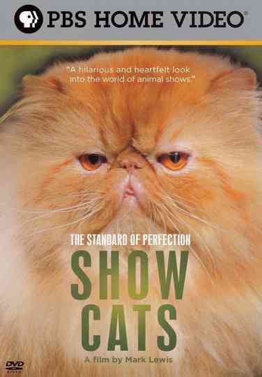 The Standard of Perfection: Show Cats Poster