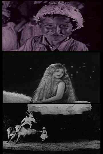 Three by Cornell Poster