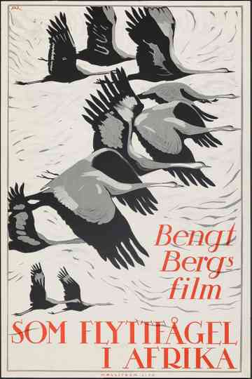 Som flyttfågel i Afrika Poster