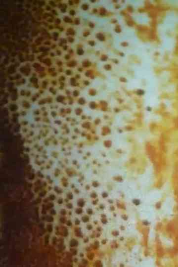 Untitled 1 sun vision Poster