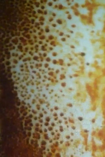 Untitled 1 sun vision