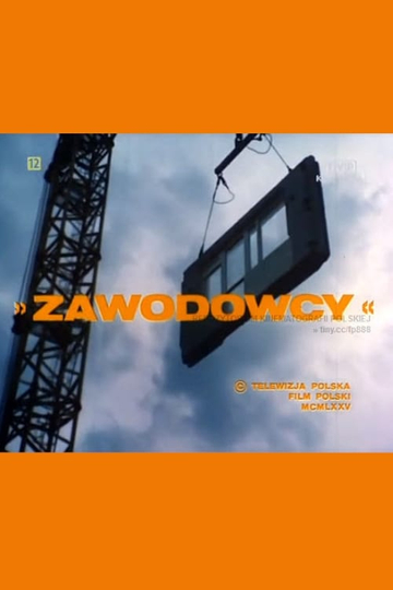 Zawodowcy Poster