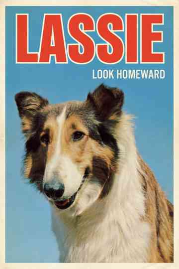 Look Homeward poster