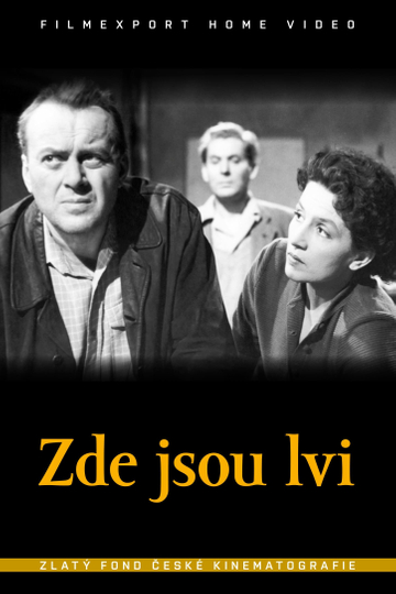 Zde jsou lvi Poster