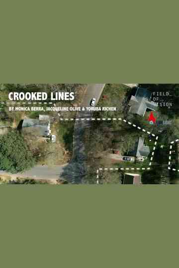 Crooked Lines Poster