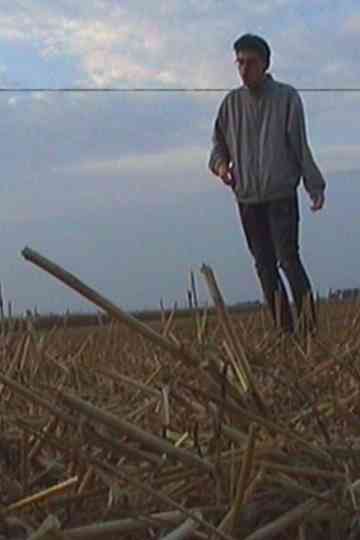 The Roots Of The Horizon Poster