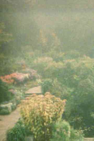 In the Garden Poster