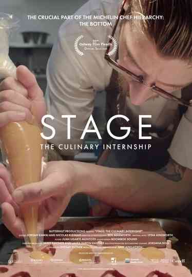 Stage The Culinary Internship Poster