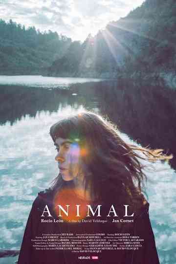 Animal Poster