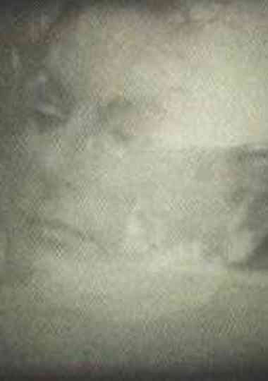 Yo veo conejos Poster