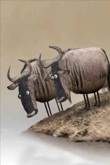 Wildebeest poster