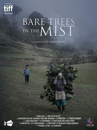 Bare Trees in the Mist Poster