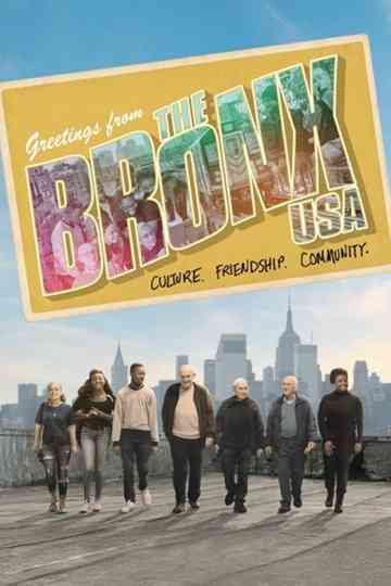 The Bronx USA Poster
