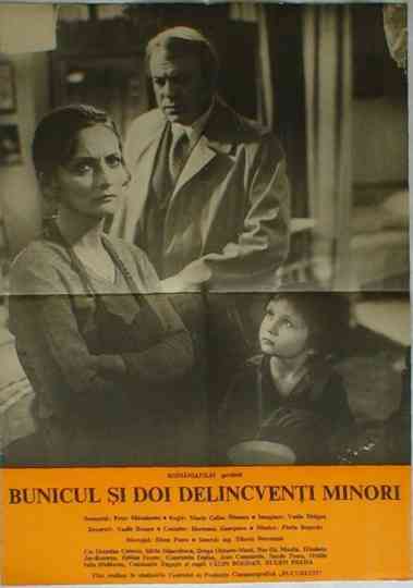 Grandpa and Two Young Offenders Poster