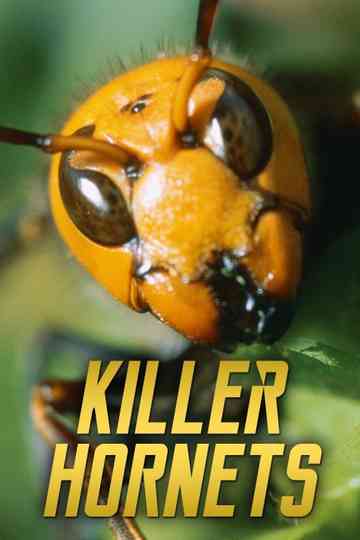 Killer Hornets Poster