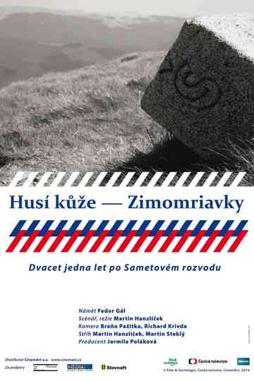 Husí kůže – Zimomriavky Poster