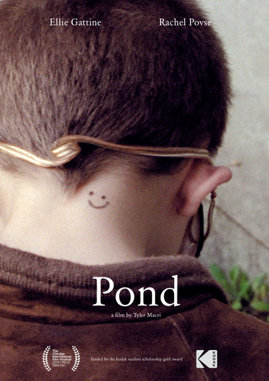 Pond Poster