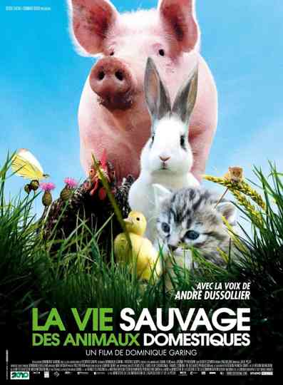 La vie sauvage des animaux domestiques Poster