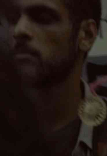 Diario ordinário Poster