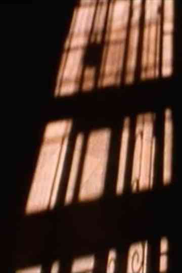 the willing voyeur Poster