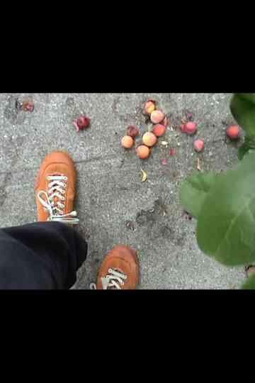 The Hairy Horror Poster