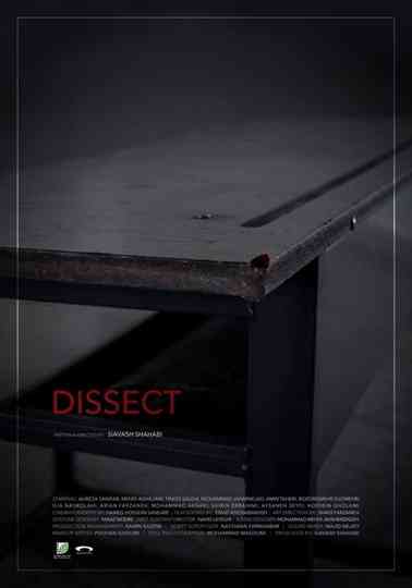 Dissect Poster