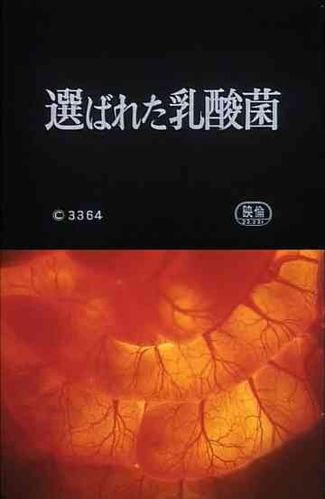 Selected Lactobacillus Strain Shirota Poster