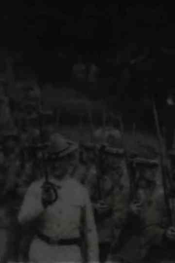 15th Infantry Poster