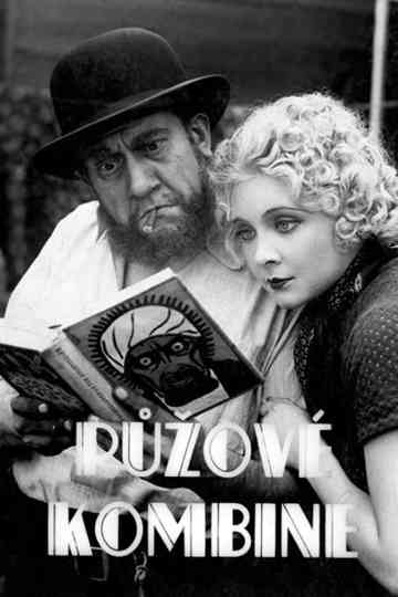 Růžové kombiné Poster