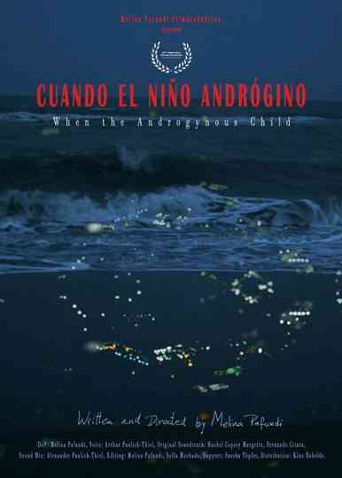 When the Androgynous Child Poster