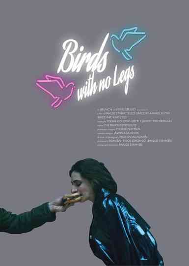 Birds with no legs Poster