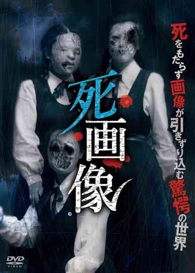 Death Portrait poster