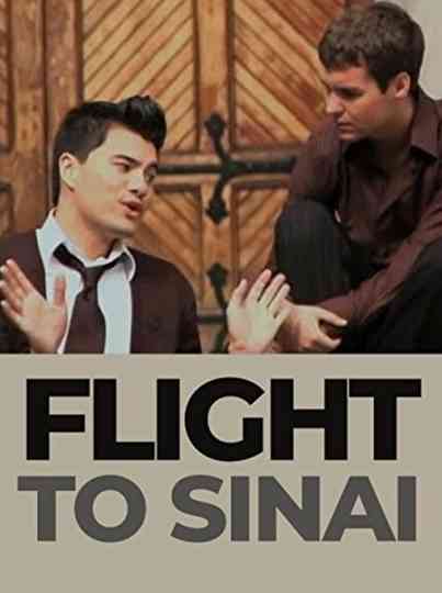 Flight to Sinai Poster