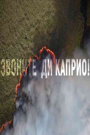 Call DiCaprio poster