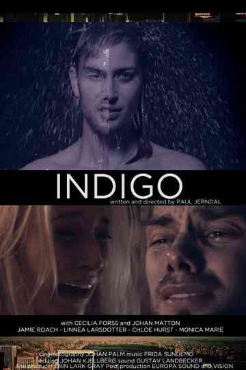 Indigo Poster