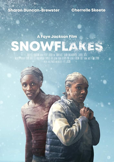 Snowflakes Poster