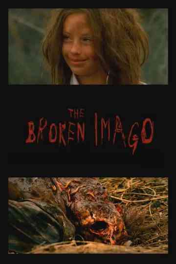 The Broken Imago Poster