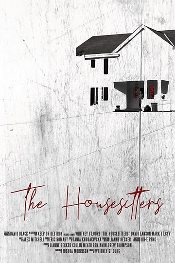 The Housesitters Poster