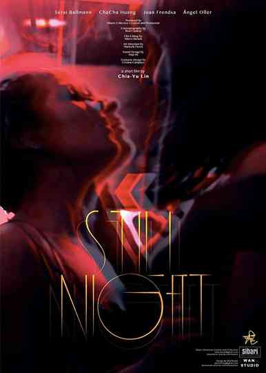 Still Night Poster