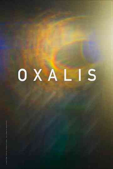 Oxalis Poster