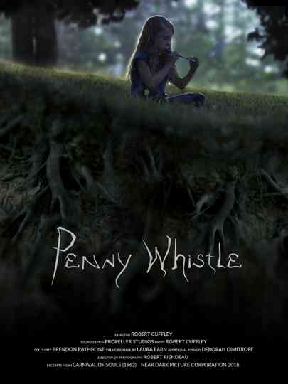 Penny Whistle Poster