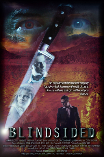 Blindsided Poster