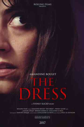 The Dress Poster