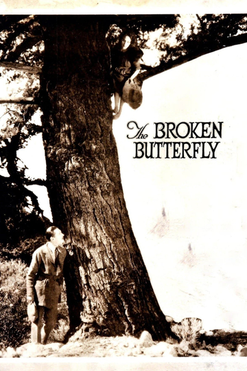 The Broken Butterfly Poster