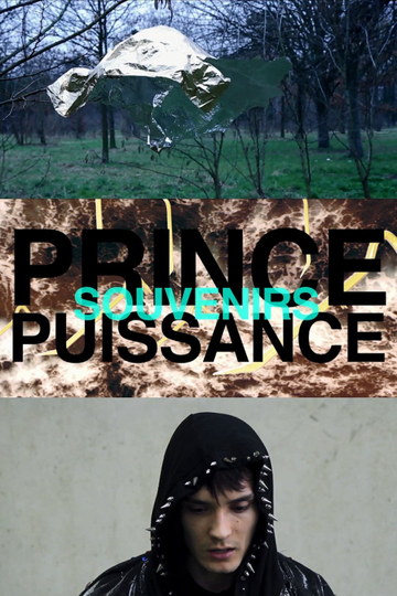 Prince puissance souvenirs